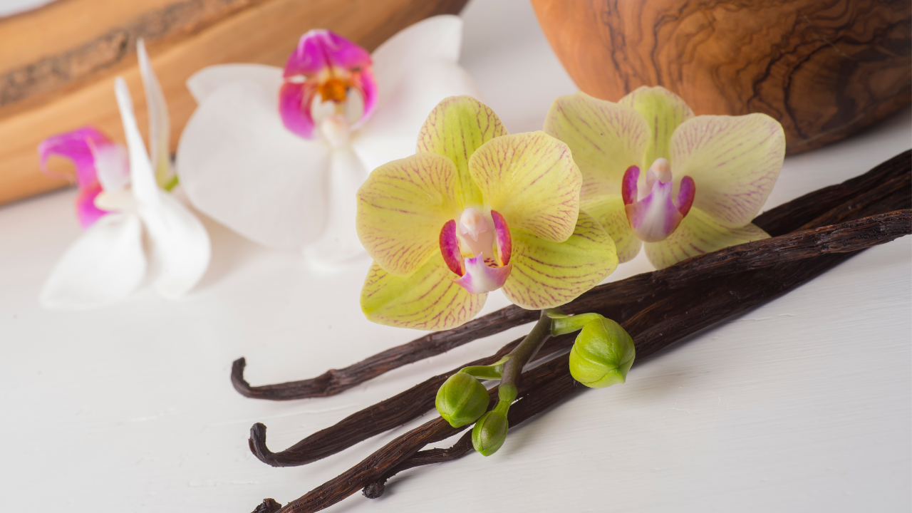 (Limited Edition) Faith To Move Mountains Vegan Scented Candle